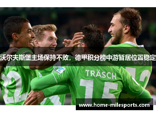 沃尔夫斯堡主场保持不败，德甲积分榜中游暂居位置稳定